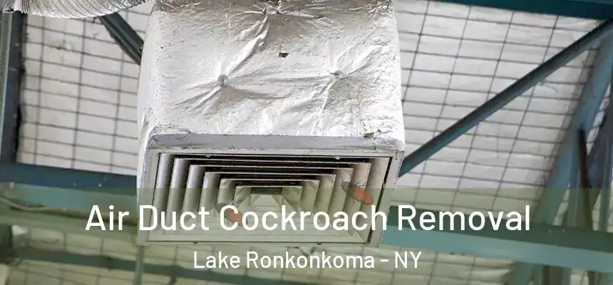 Air Duct Cockroach Removal Lake Ronkonkoma - NY