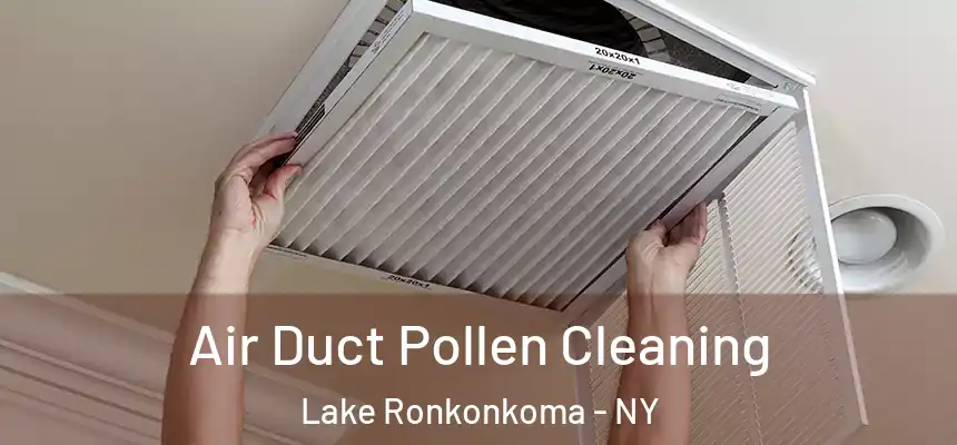  Air Duct Pollen Cleaning Lake Ronkonkoma - NY