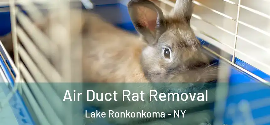  Air Duct Rat Removal Lake Ronkonkoma - NY