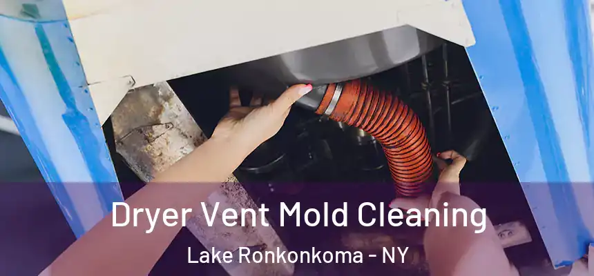  Dryer Vent Mold Cleaning Lake Ronkonkoma - NY