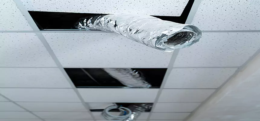 Our Air Duct Pet Hair Removal Services in Lake Ronkonkoma, NY