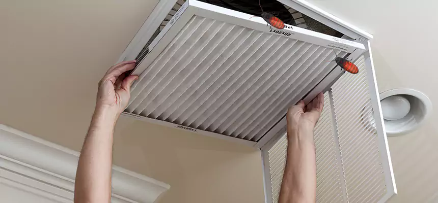 Our Insect Removal from Air Ducts Services in Lake Ronkonkoma, NY