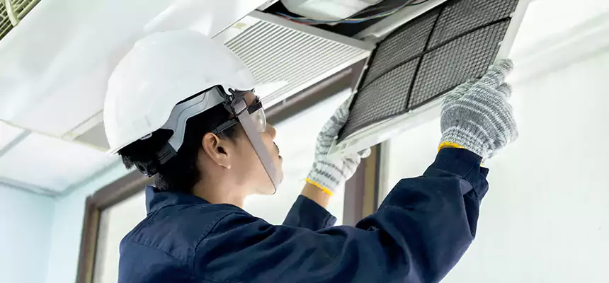 Our Mold & Mildew Removal from Air Ducts Services in Lake Ronkonkoma, NY