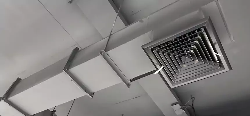 Our Rodent Droppings In Vents Services in Lake Ronkonkoma, NY