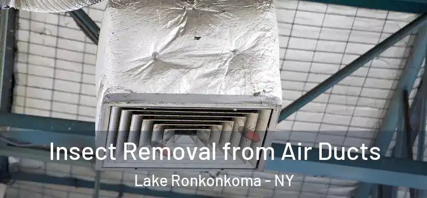  Insect Removal from Air Ducts Lake Ronkonkoma - NY