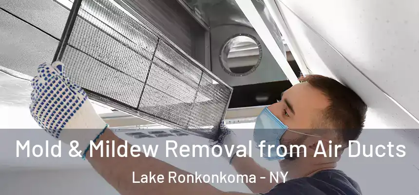 Mold & Mildew Removal from Air Ducts Lake Ronkonkoma - NY