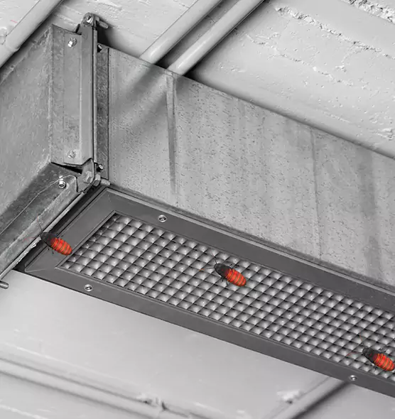 About Air Duct Cockroach Removal in Lake Ronkonkoma, NY