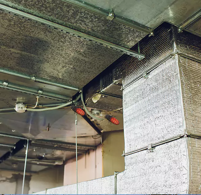 Why Homeowners & Businesses Trust Us in Lake Ronkonkoma, NY?