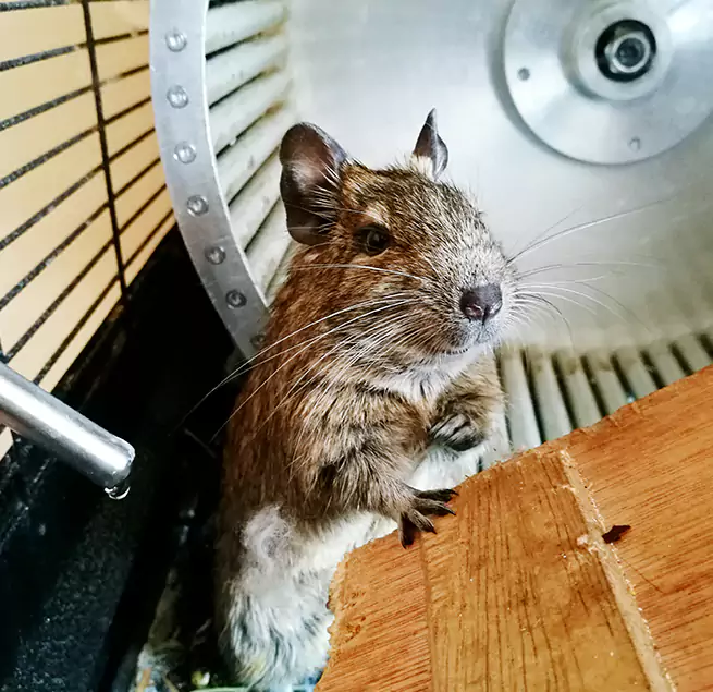 Why Homeowners & Businesses Trust Us Lake Ronkonkoma, NY?