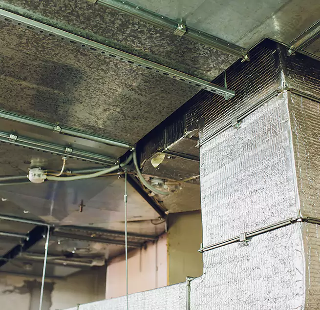 Why Homeowners & Businesses Trust Us in Lake Ronkonkoma, NY?